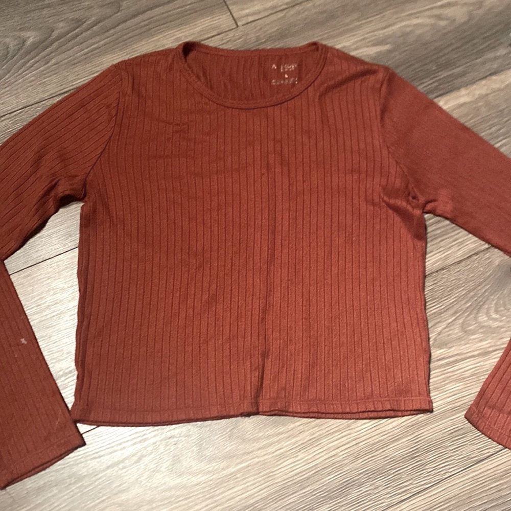 Arizona long sleeve crop top